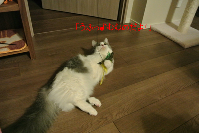 mumu10.jpg