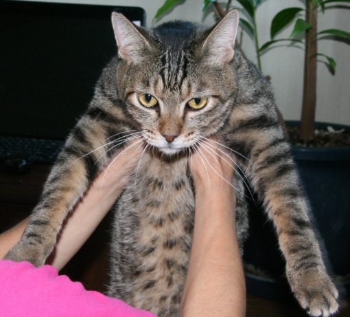 20150912ﾙﾅ03.jpg