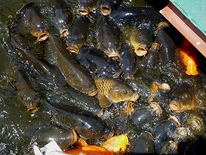 20120428(2).jpg