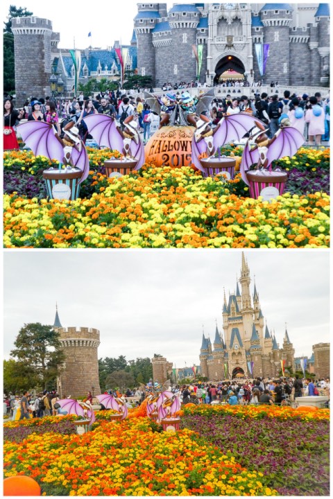 CollageMaker_20171001_205513796.jpg
