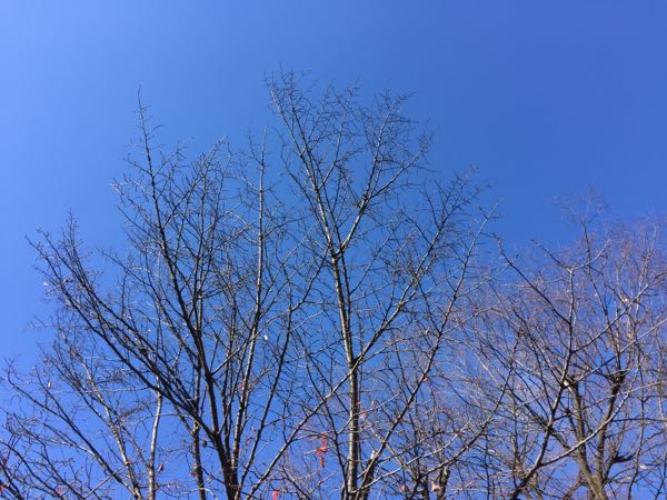 rblog-20171203214336-00.jpg
