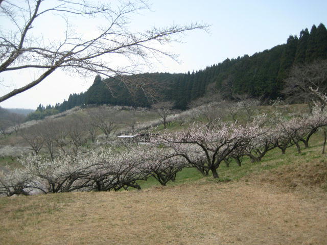 IMG_7824.JPG