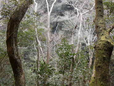 釈迦岳10