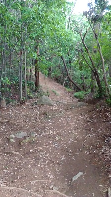 分かれ道後ろ