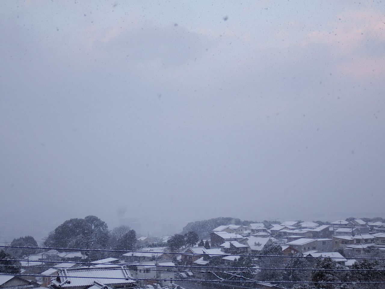 今日の大村 雪になりました Kozo In Omura 楽天ブログ