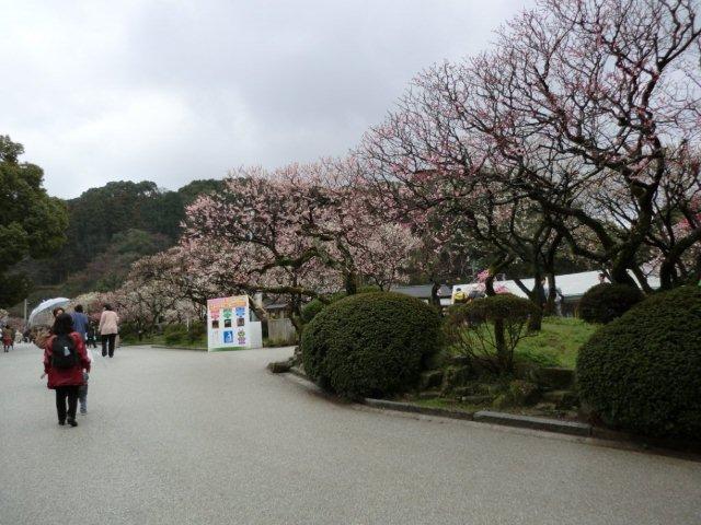 2012_0318_125257-CIMG0405.jpg