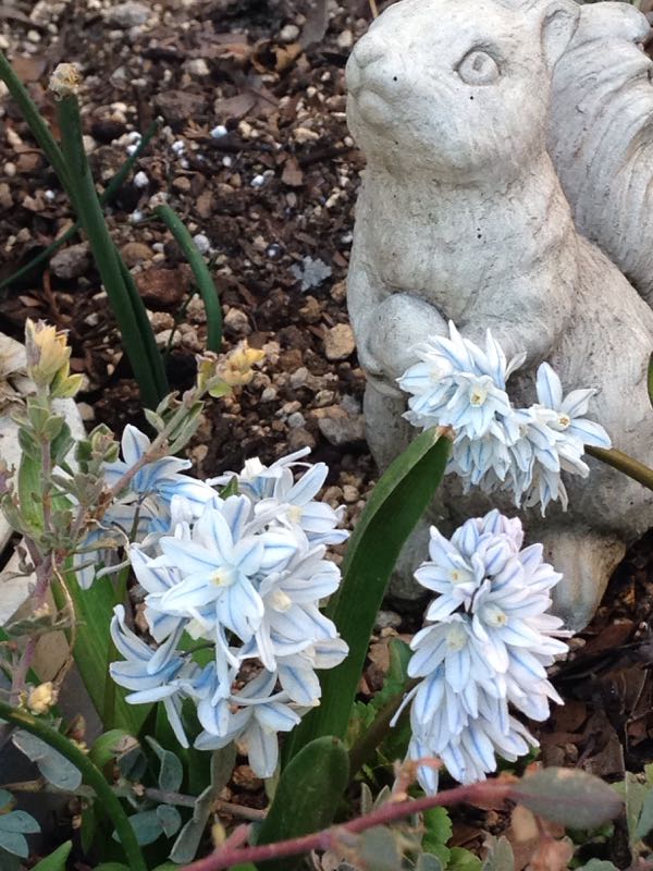 rblog-20160401200319-01.jpg