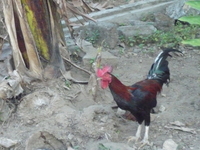 P1030030