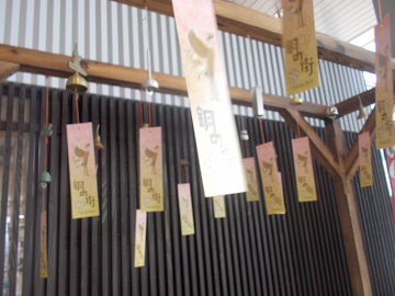 DSCN5768.jpg