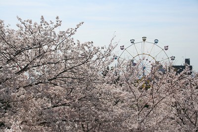 IMG_7121.jpg
