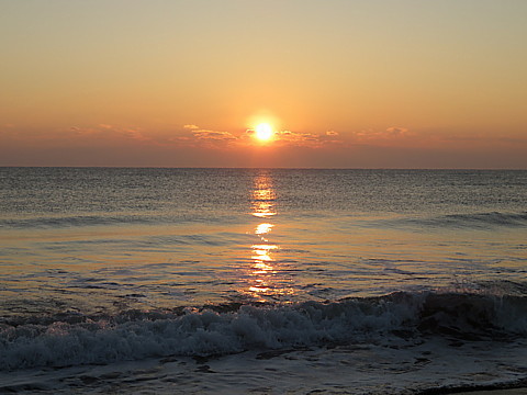 IMG_8132.jpg