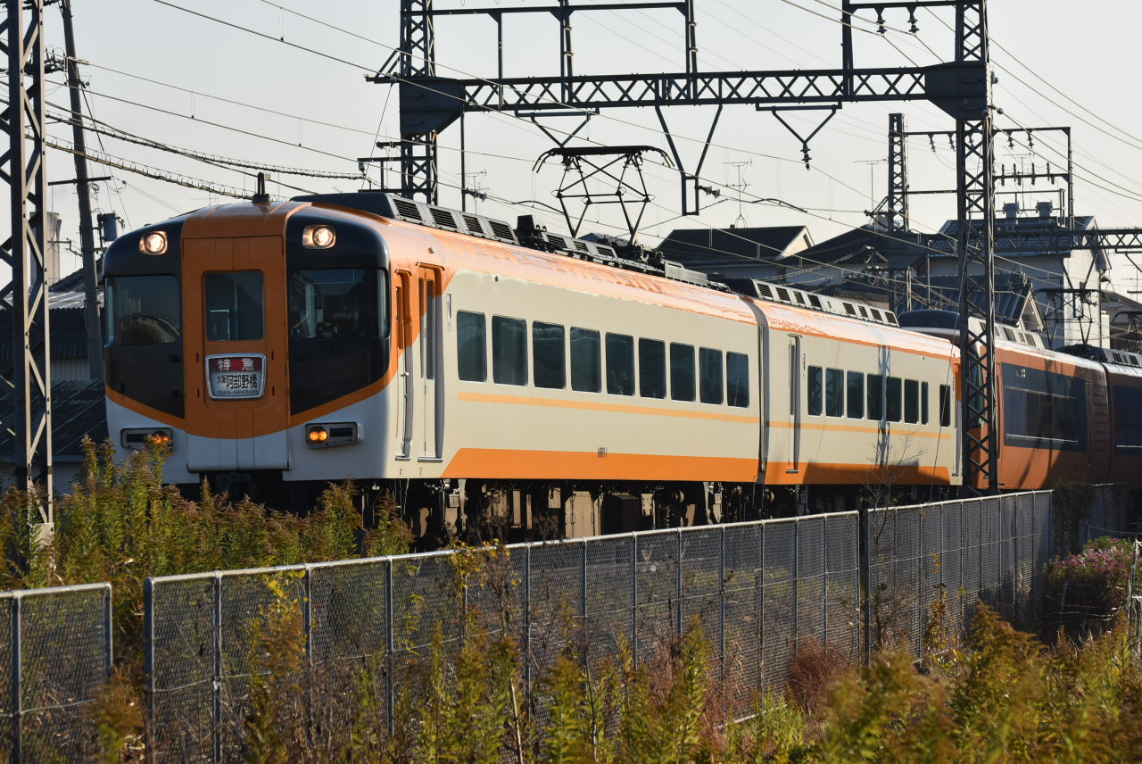DSC_8459.JPG