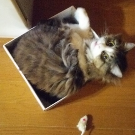 まーい.JPG