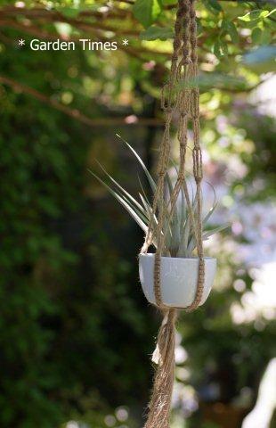 マクラメ＆エアプランツ