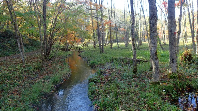 PA211447 14：03ウツナイ川.jpg