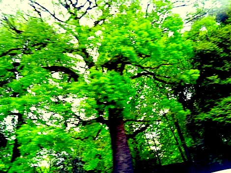 120508_131920.jpg