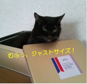 20120723_5.jpg
