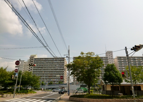 001 (500x357).jpg