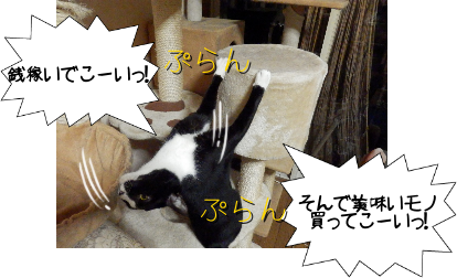 P6030024.png