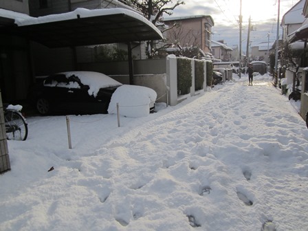 雪の道路.jpg