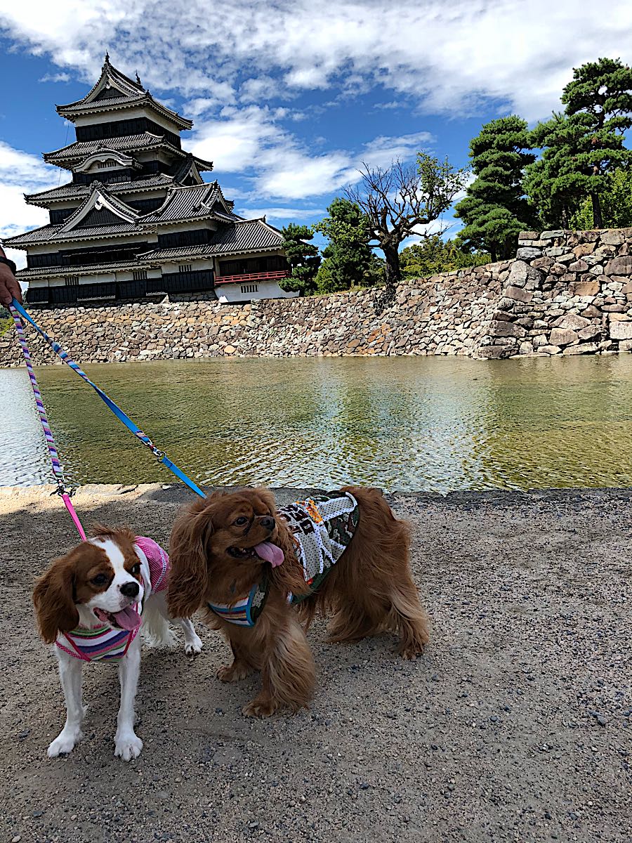rblog-20180822205519-05.jpg