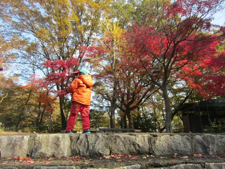 紅葉