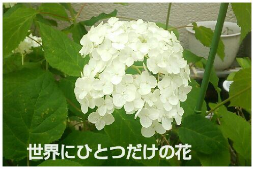 rblog-20160630214729-00.jpg