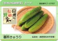 信州の伝統野菜」カード | おでかけしましょいっ！～Part2～ - 楽天ブログ