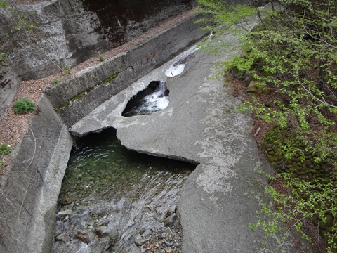 DSC00711.JPG