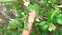 rblog-20130403193833-01.png