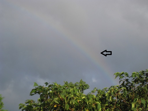 IMG_8062 縮小 - コピー.jpg