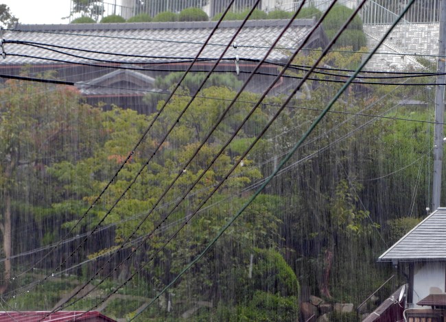 今日の雨