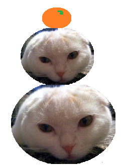 kagamimoti.1png.png
