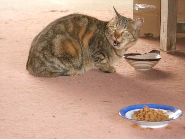 DSCN0823.JPG
