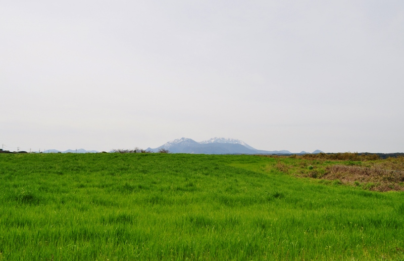 Ａ・　牧草と大山.jpg