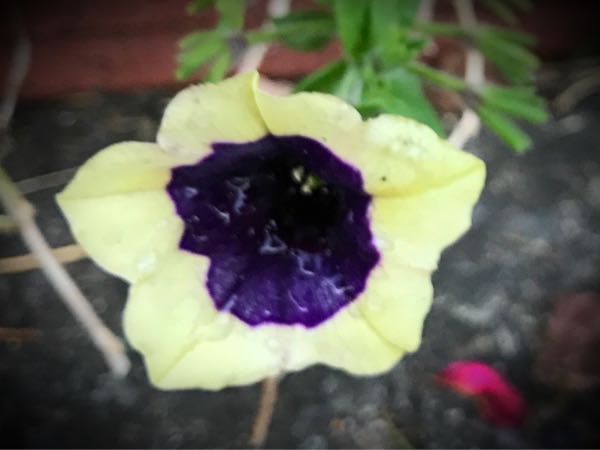 rblog-20161129163609-06.jpg