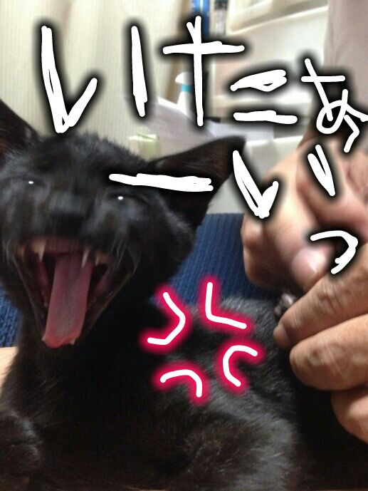 rblog-20141221203331-02.jpg