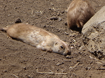 DSC00858_R.JPG