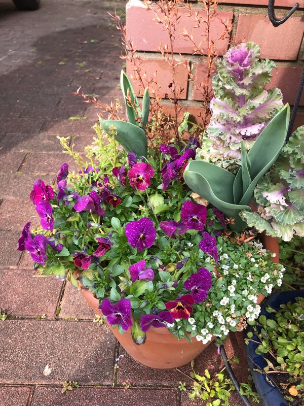 rblog-20190401163447-08.jpg