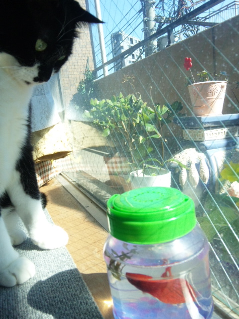 120326_092710.jpg