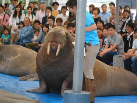 鳥羽水族館