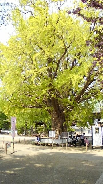 rblog-20180413145932-03.jpg