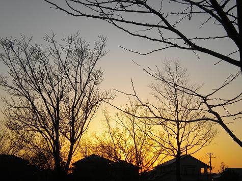 ２／１１　朝日と木と家のシルエット.JPG