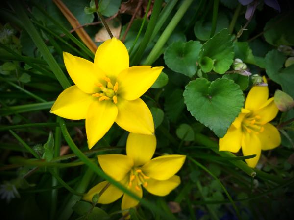 rblog-20160331165718-06.jpg