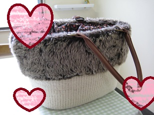 2月１２日のカバン