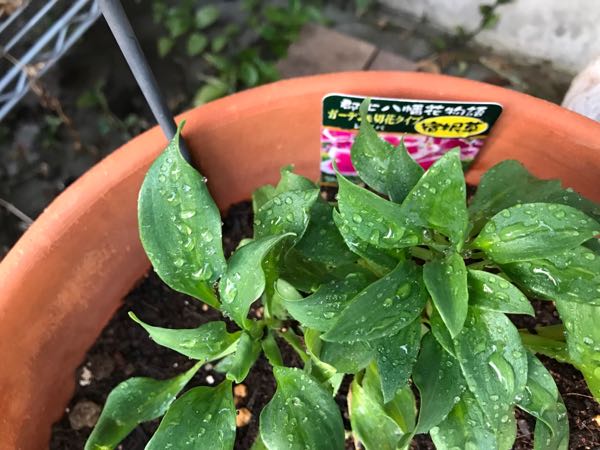 rblog-20180328190757-08.jpg