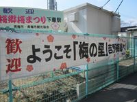 IMG_4940_R.JPG