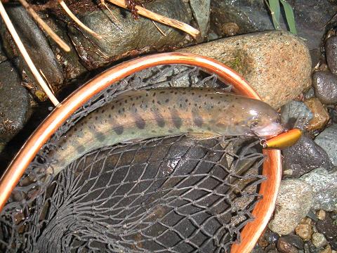 2012.05.04 001.jpg