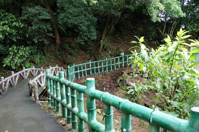 遊歩道の雰囲気