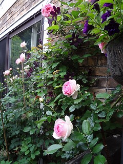 DSC01166.jpg